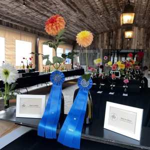 Best in Show Peggy Arnette and Tim Wheatley